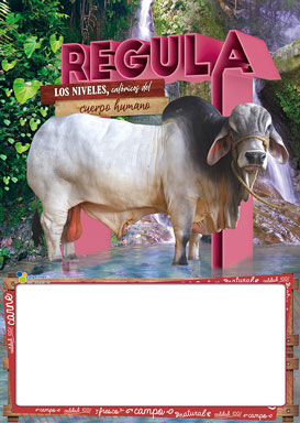 Almanaque Carnes Papel 1/8 